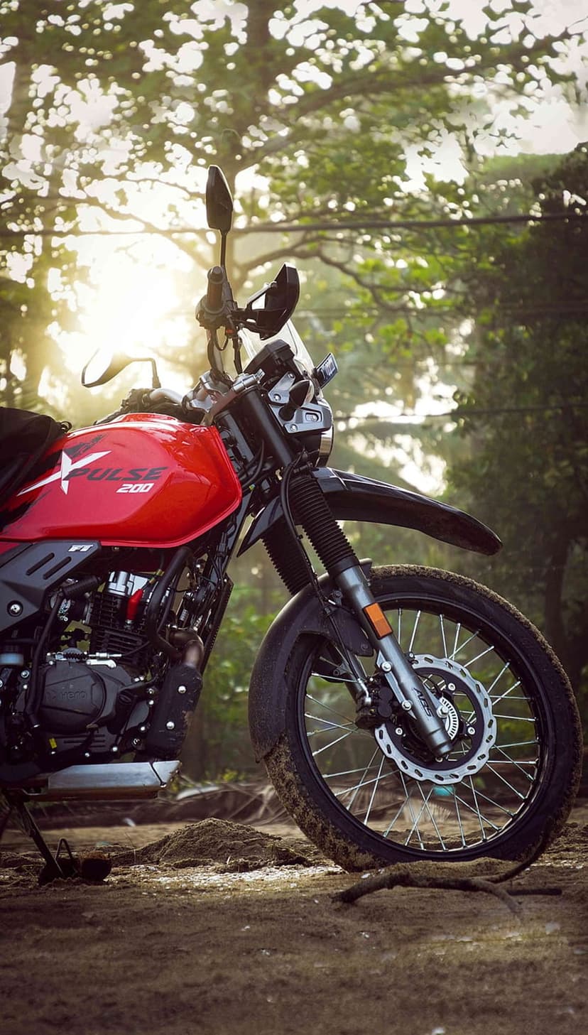 Red adventure motorcycle on a dirt forest path under golden morning light filtering through tall trees.