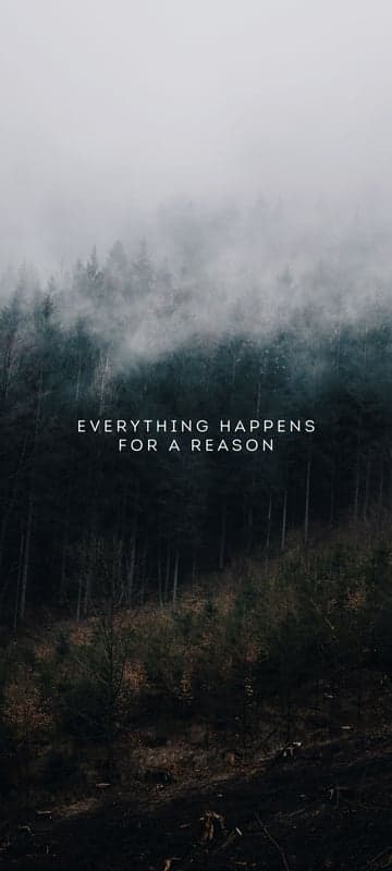 Mysterious Forest Fog with Inspiring Quote