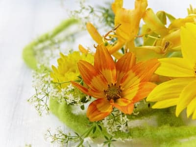 Bright Orange and Yellow Flowers with Green Accent
