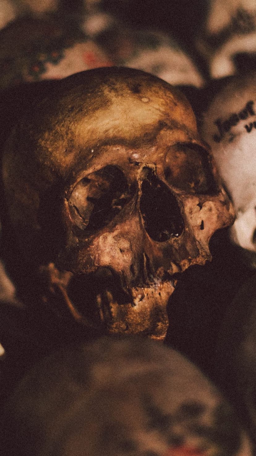 Weathered human skull with deep shadows in the eye sockets and a rough, aged texture against a dark background.