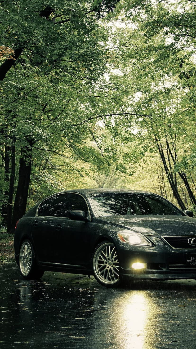 Lexus GS sedan with glowing headlights parked on a glistening wet asphalt road through a dense green forest.
