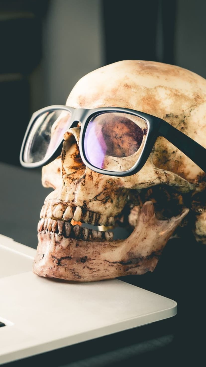 Human skull wearing black glasses on a white laptop with reflective lenses and visible teeth in sharp detail.