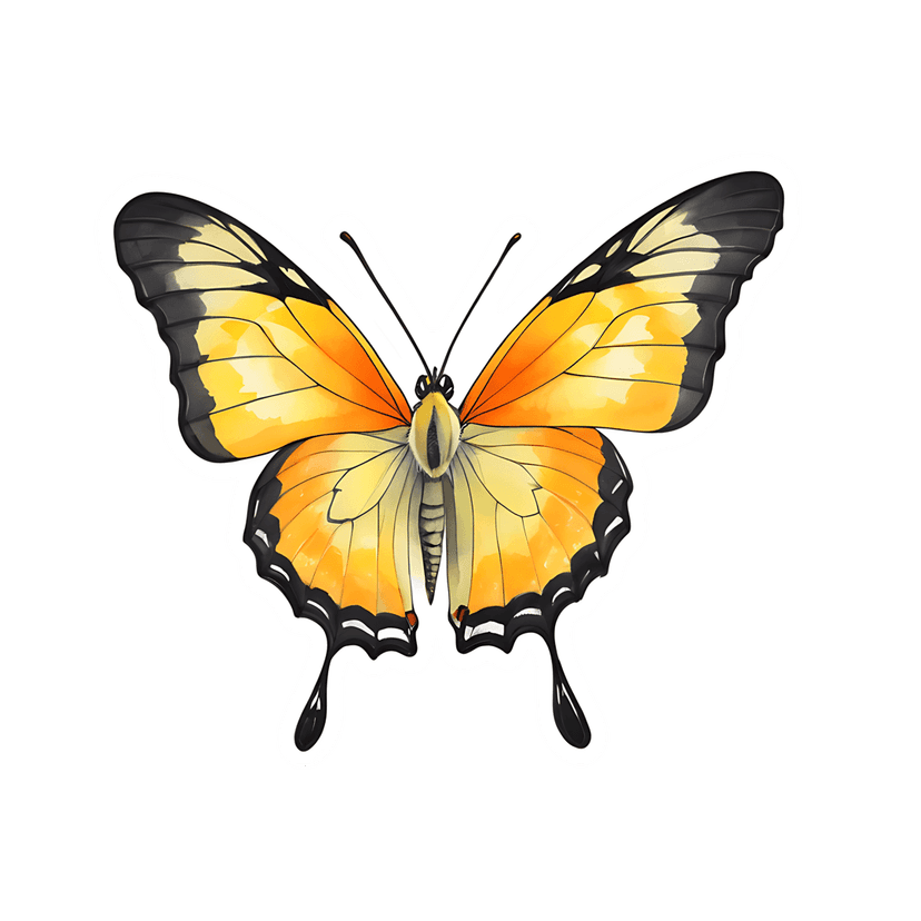 Yellow butterfly sticker with orange gradients, black wing patterns, and a thick white die-cut border on front.