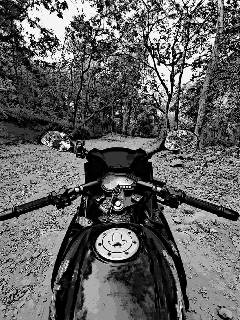 Motorcycle handlebars face a narrow dirt road disappearing into a dense, high-contrast black and white forest.