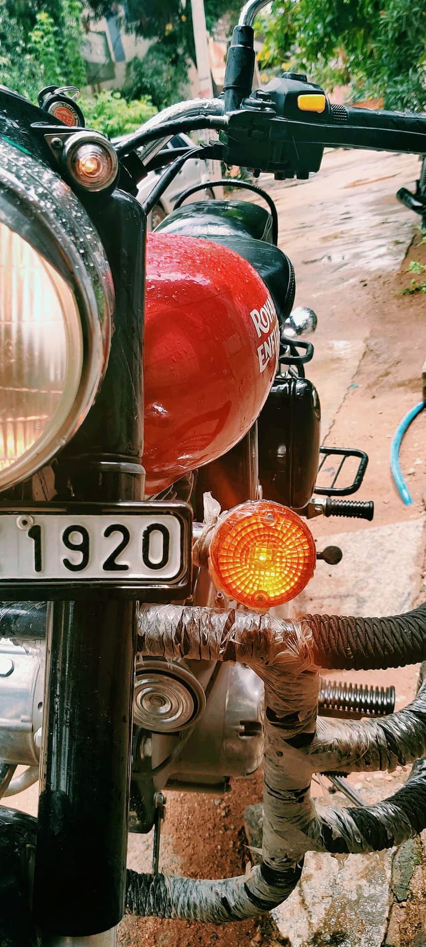Royal Enfield motorcycle closeup with a 1920 license plate, amber turn signal, and rain-slicked red fuel tank.