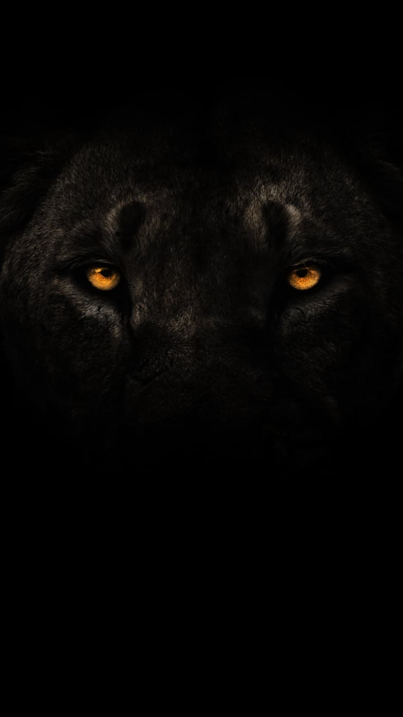 Black panther with glowing orange eyes peers through dark shadows in a close-up vertical wildlife shot.