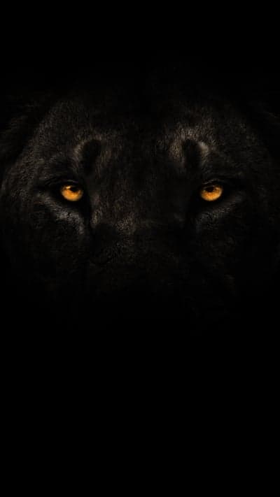 Intense Black Panther Eyes Glowing in Darkness