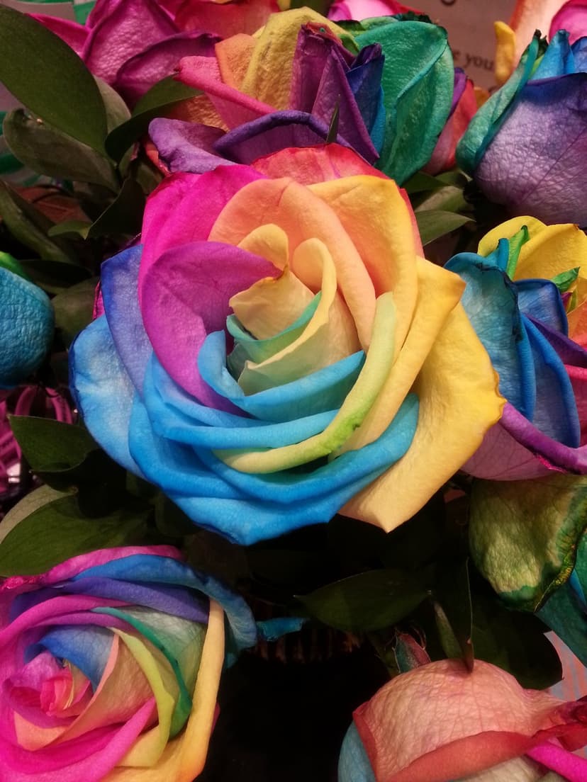 Rainbow rose petals in shades of blue, yellow, and pink overlap in a detailed close-up floral arrangement.