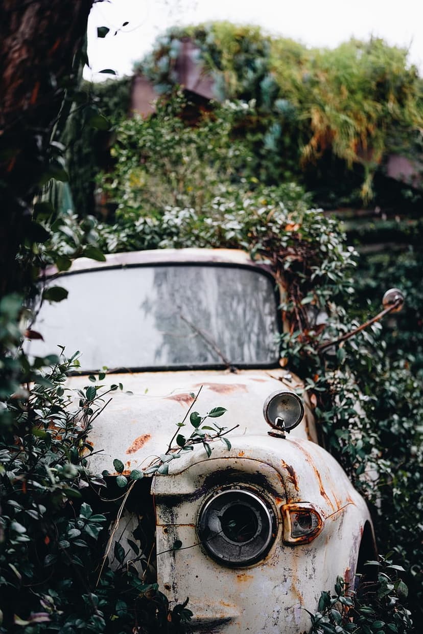 Rusted white vintage car entangled in thick green vines and forest undergrowth in a vertical composition.