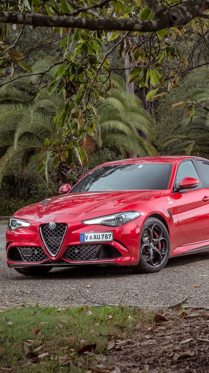 Red Alfa Romeo Giulia Quadrifoglio sports sedan parked on gravel surrounded by tropical palm trees and foliage.