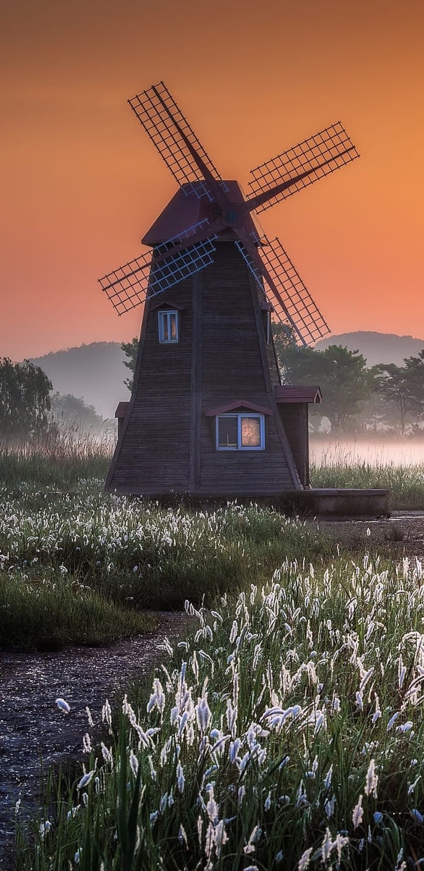 Dark wooden windmill with red blades stands in white feathery grass under a purple and orange pastel sunrise.