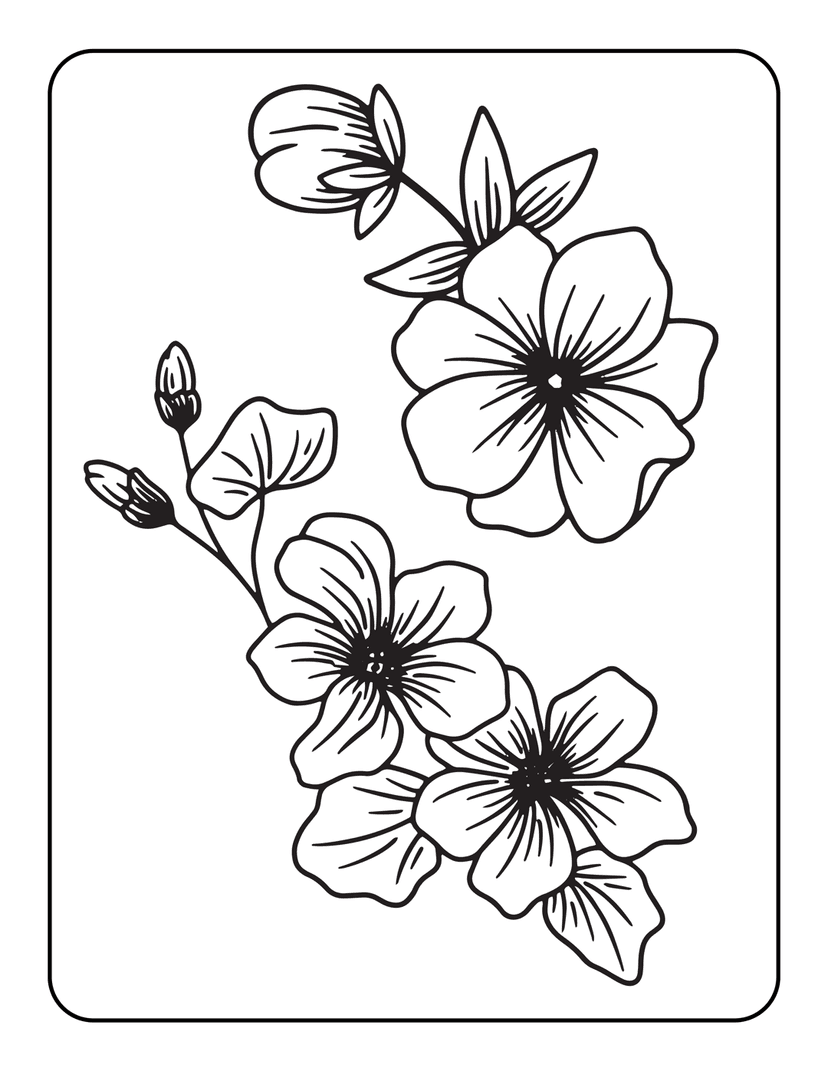 Floral coloring page featuring crisp black line art of blooming petals, buds, and leaves on a white background.
