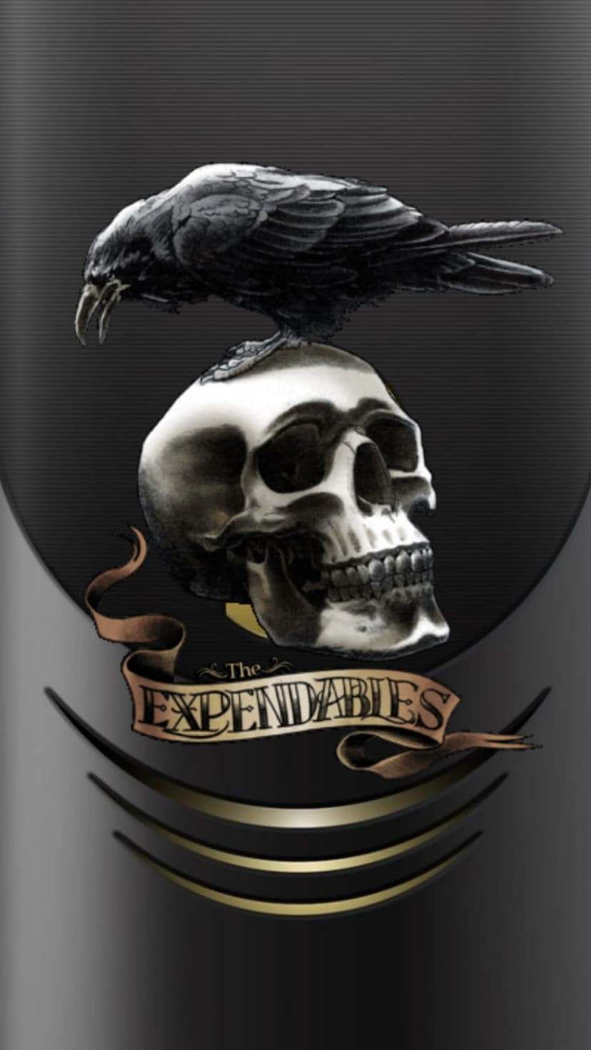 Skull with a black raven perched on top against a dark textured background for a mobile phone screen.