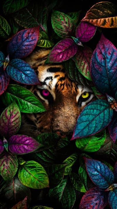 Mysterious Tiger Peeking Through Vibrant Jungle Leaves