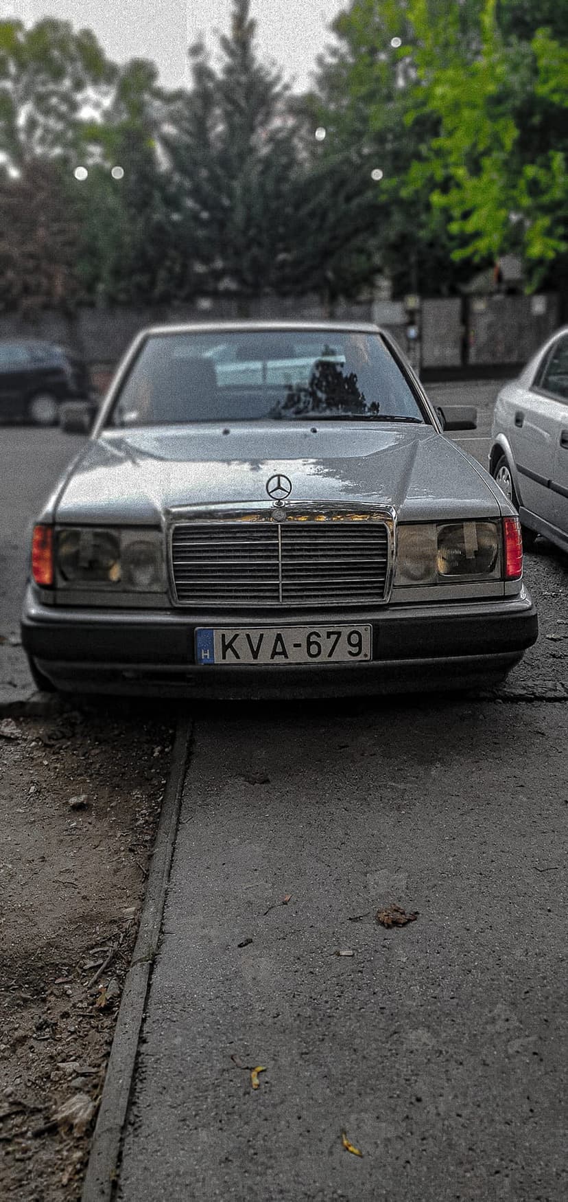 Silver Mercedes-Benz W124 sedan with a chrome grille parked on a street near vibrant green trees and foliage.