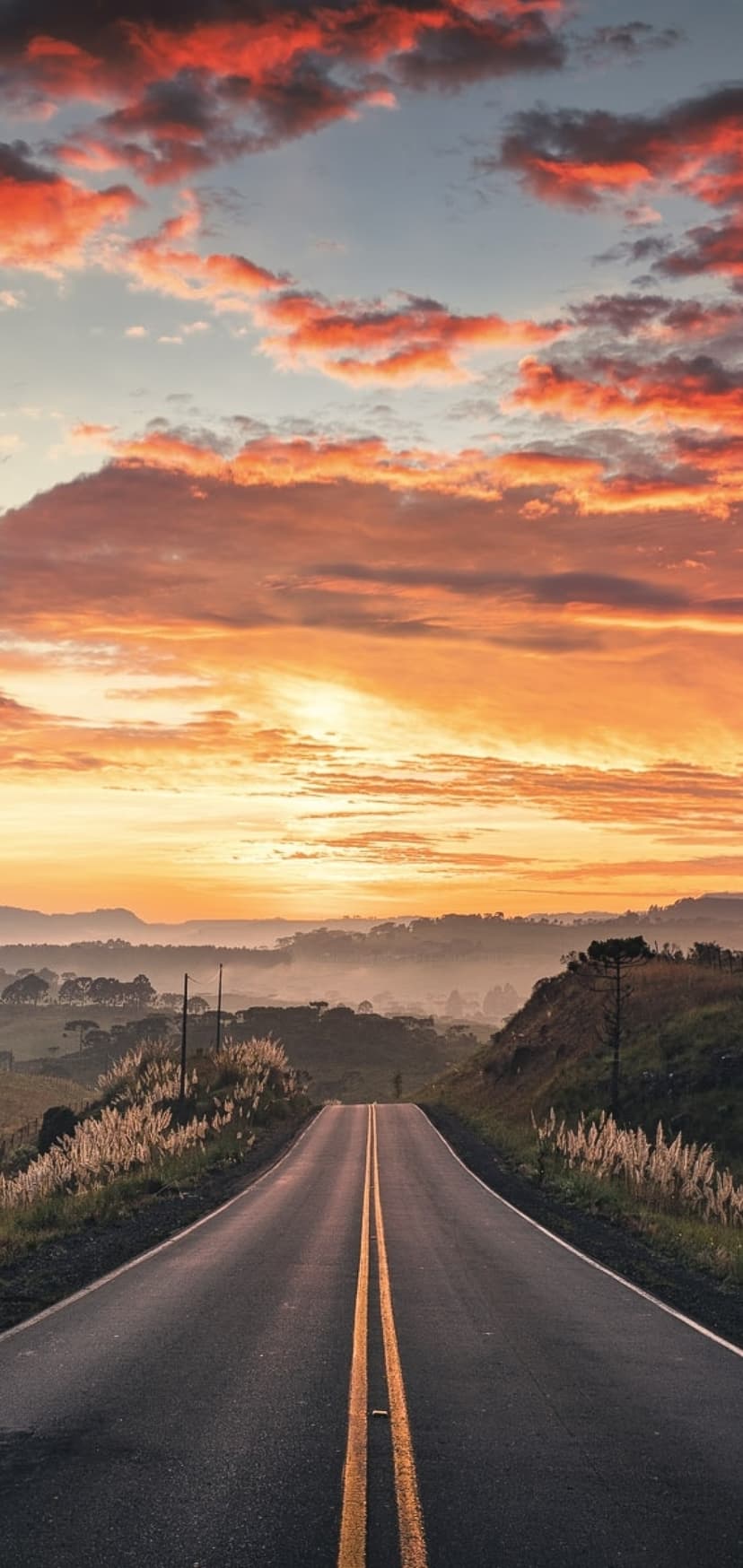 Straight asphalt road stretching toward a vibrant pink and orange sunrise between misty hills and trees.