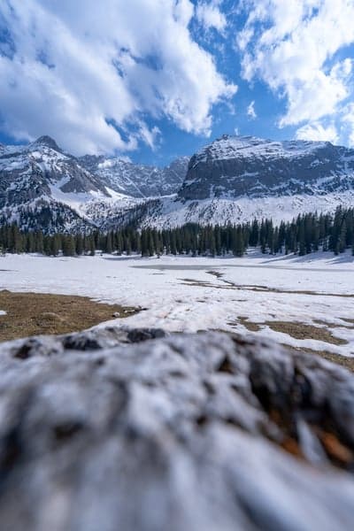 Snowy Mountain Landscape with Pine Forest and Frozen Lake