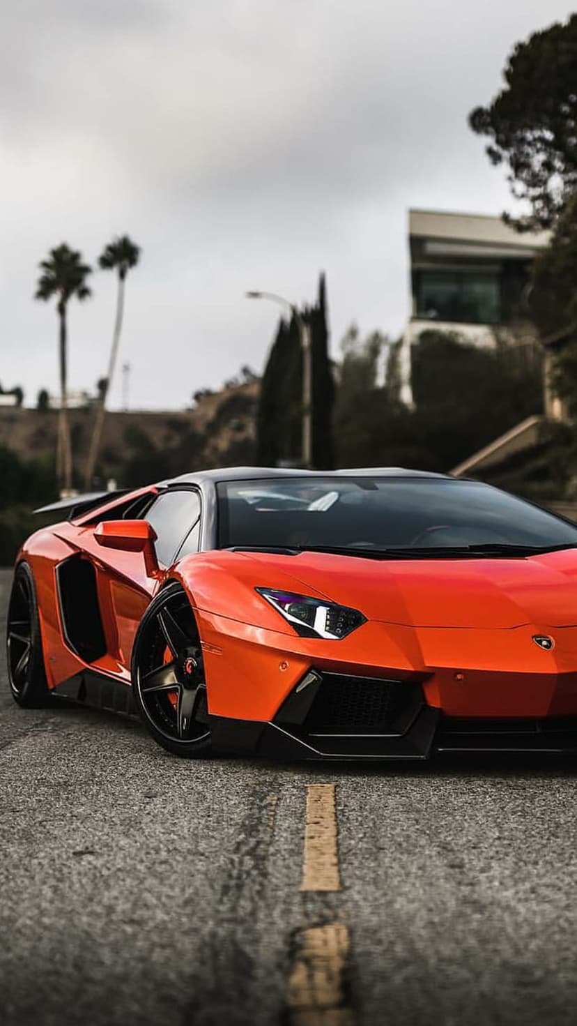 Orange Lamborghini Aventador parked on asphalt with palm trees and a cloudy sky in a low-angle vertical view.