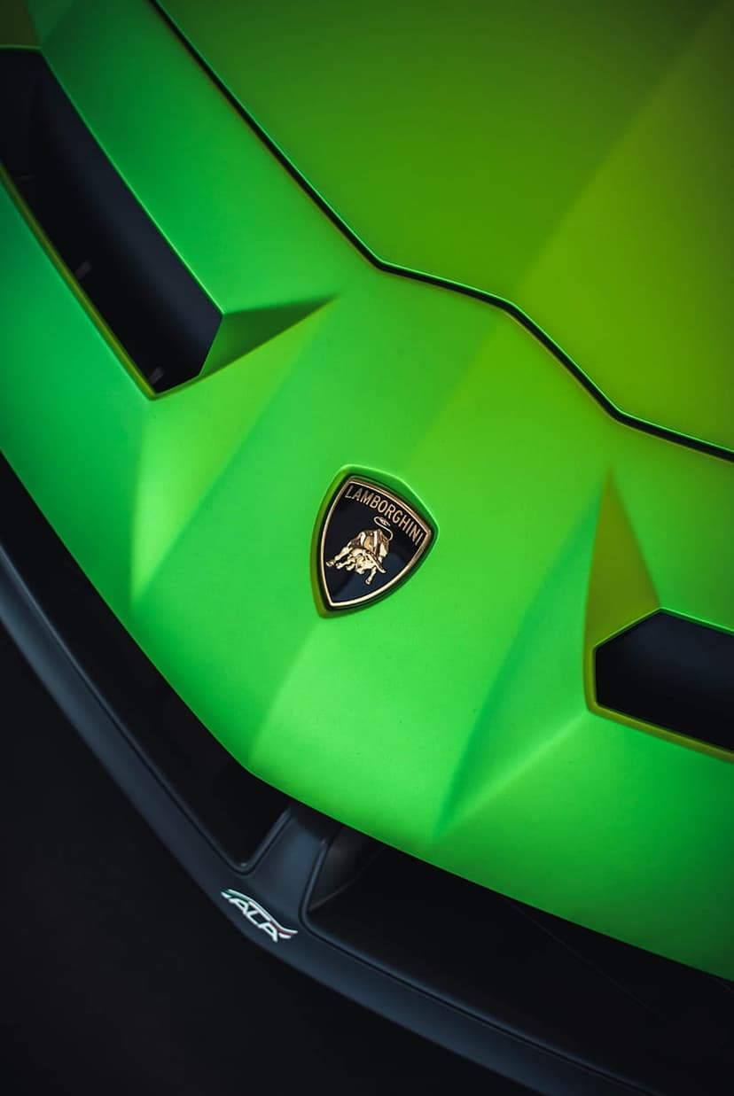 Golden Lamborghini bull emblem on a black shield mounted on a matte green supercar hood with sharp lines.