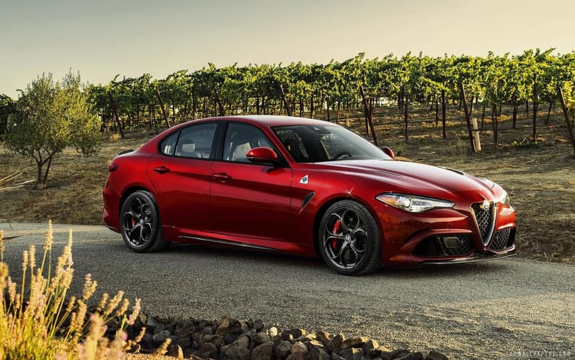Metallic red Alfa Romeo Giulia Quadrifoglio parked on a road beside a vineyard under golden sunset light.