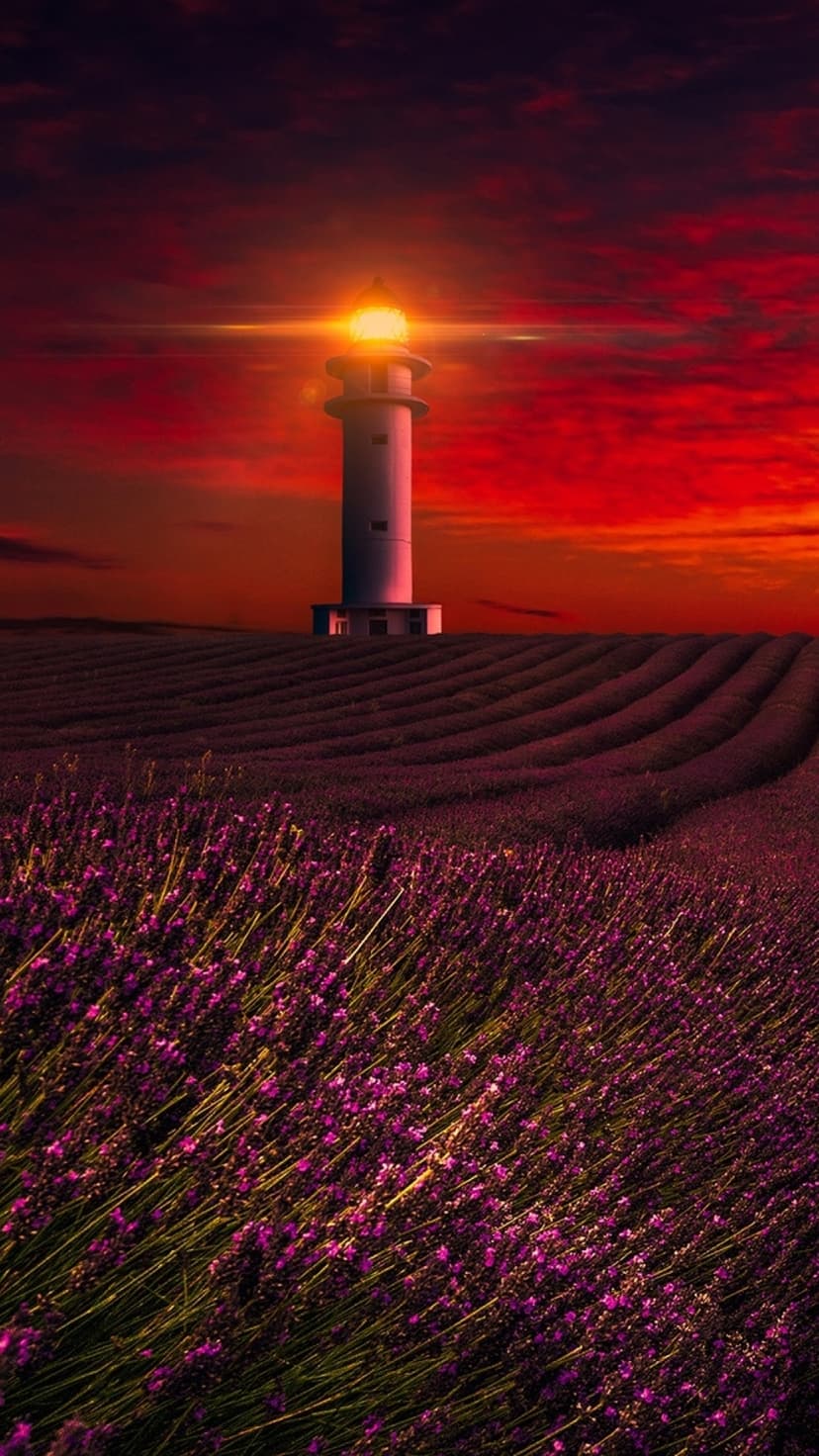 White lighthouse stands amidst purple lavender rows under a fiery red and orange sky during a vibrant dusk scene.