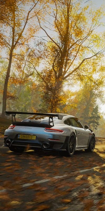 Silver Porsche GT2 RS Autumn Forest Mobile Wallpaper