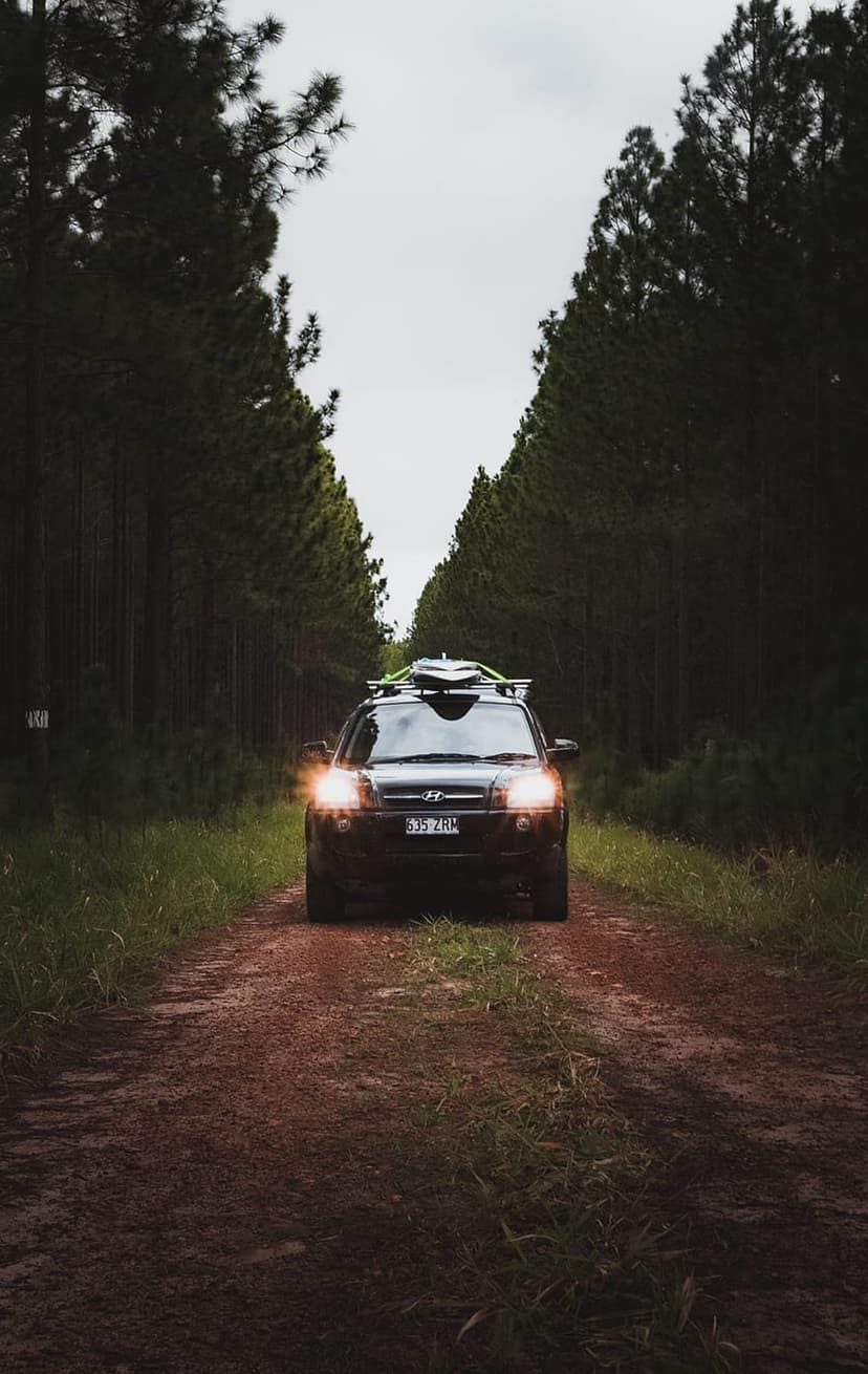 Black SUV with a kayak on top drives along a dirt road through a dense forest of tall pine trees at dusk.