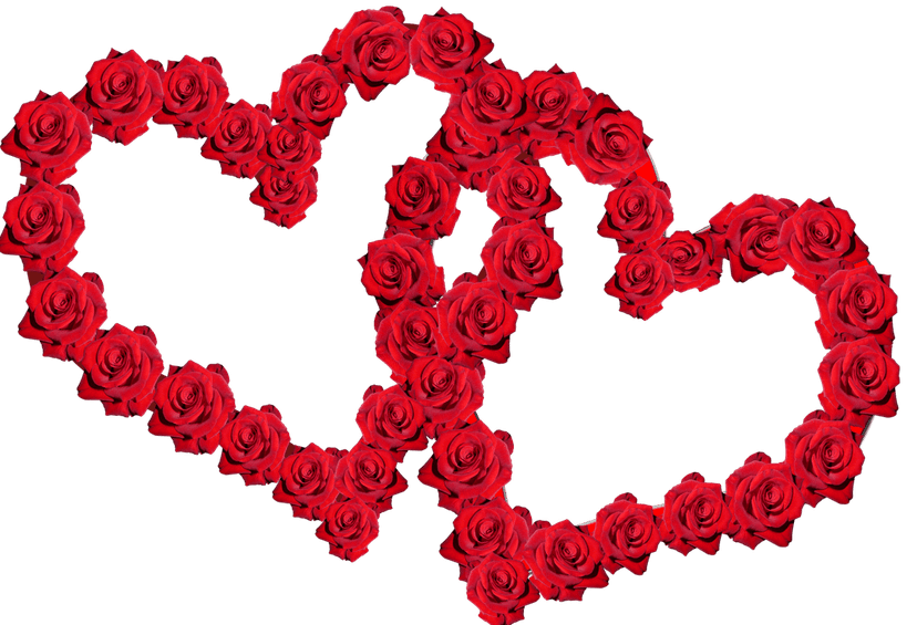 Two hearts made of red roses overlap against a solid green background in a vertical floral composition.