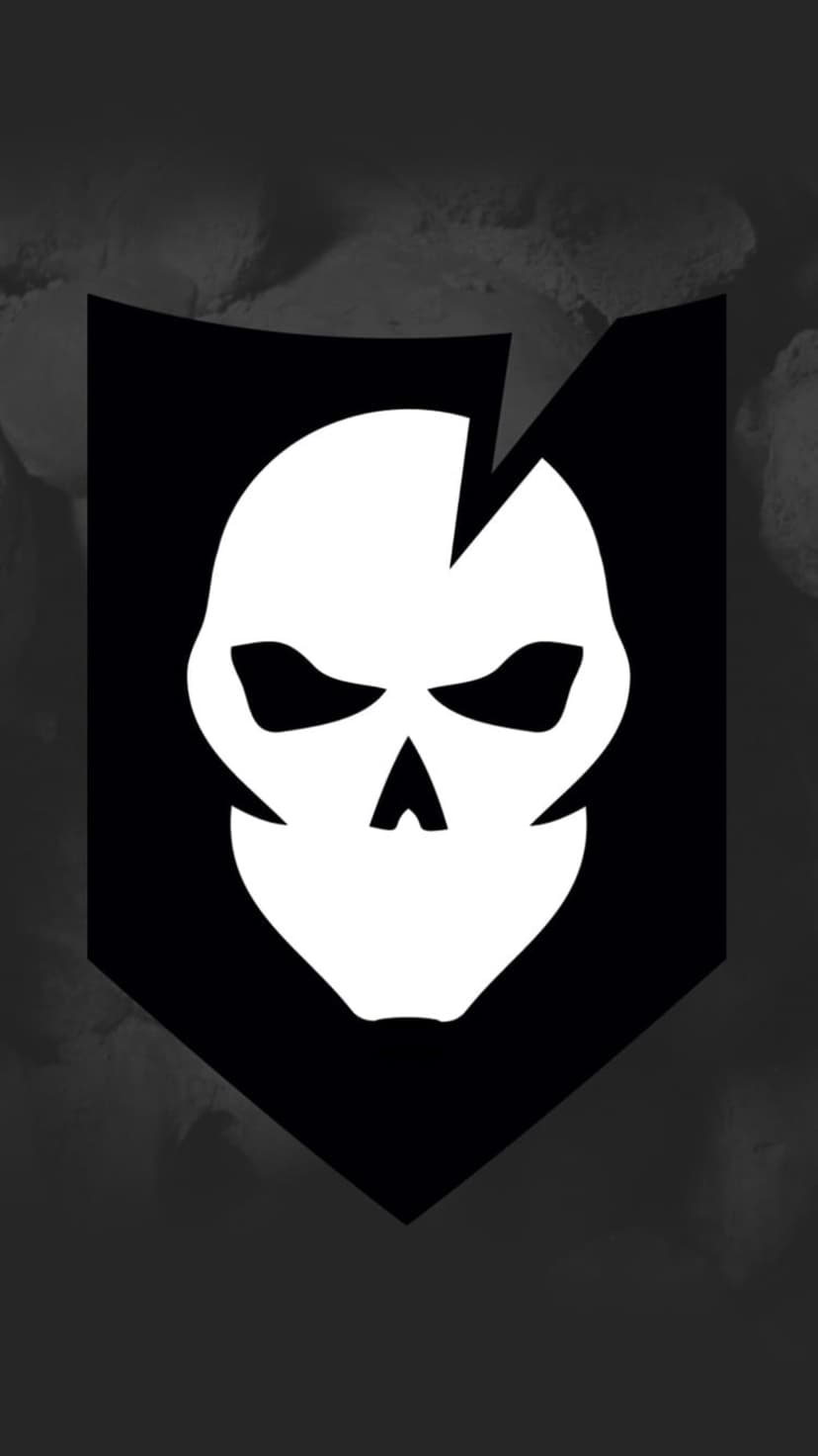 White skull with a cracked forehead sits on a black shield against a dark, smoky, textured background.