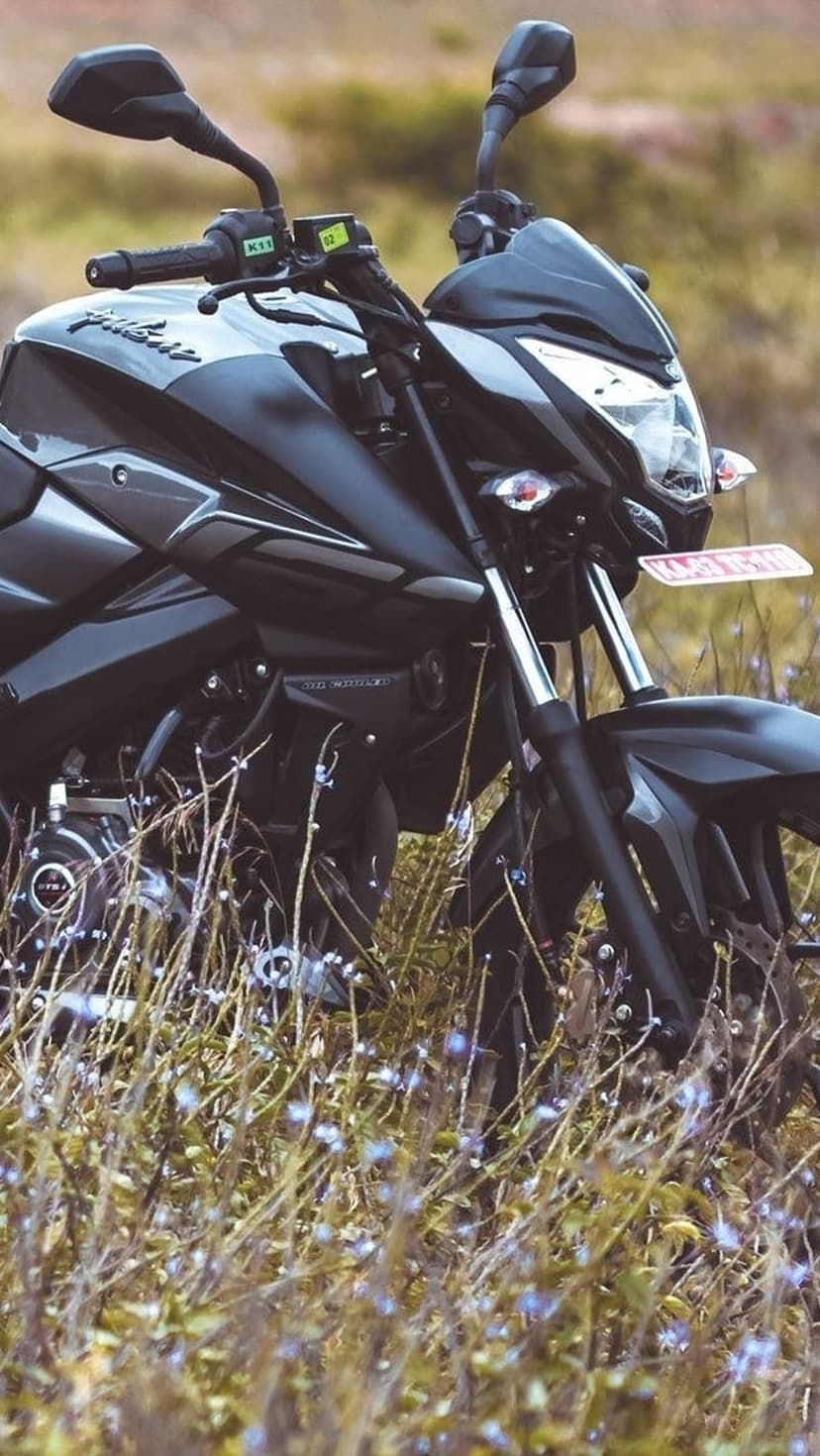 Black Bajaj Pulsar motorcycle parked in tall green grass and wildflowers with visible handlebars and headlights.