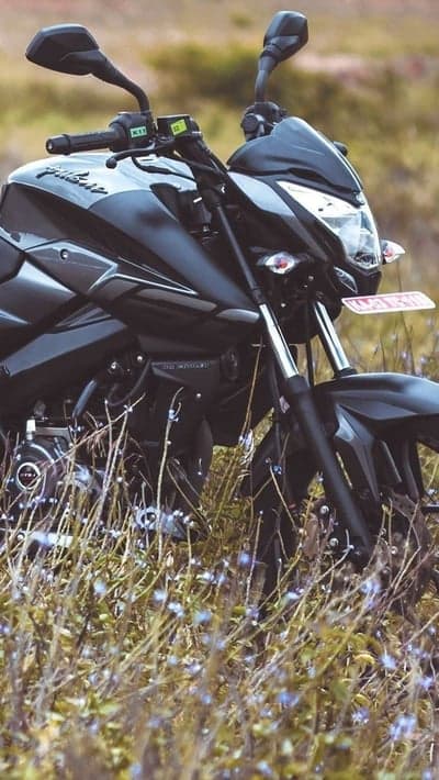 Bajaj Pulsar Sportbike in Tall Grass Phone Background