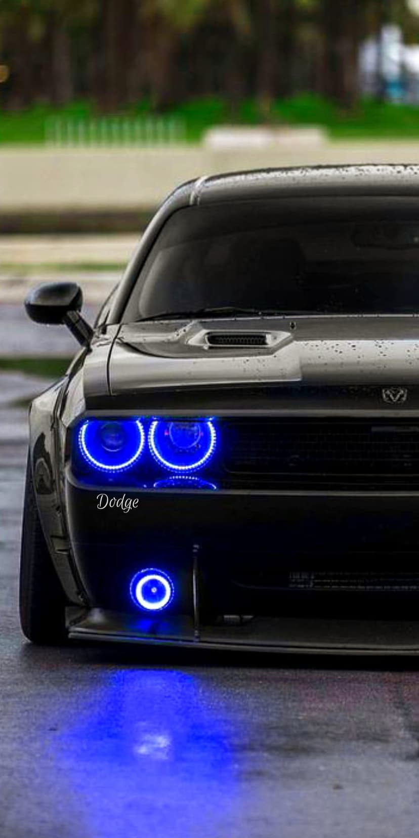 Black Dodge Challenger front end features glowing blue circular halo headlights and a dark mesh grille at night.