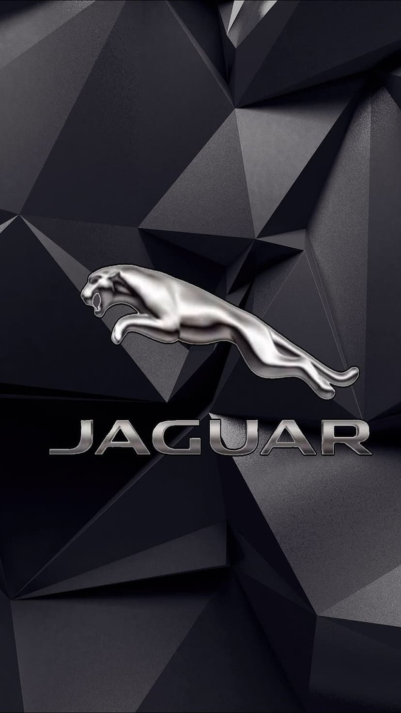 Silver Jaguar leaping cat mascot above metallic text on a dark backdrop with recessed geometric triangle patterns.