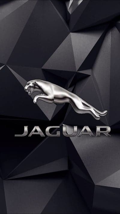 Jaguar Logo Silver Leaping Cat Black Geometric Background