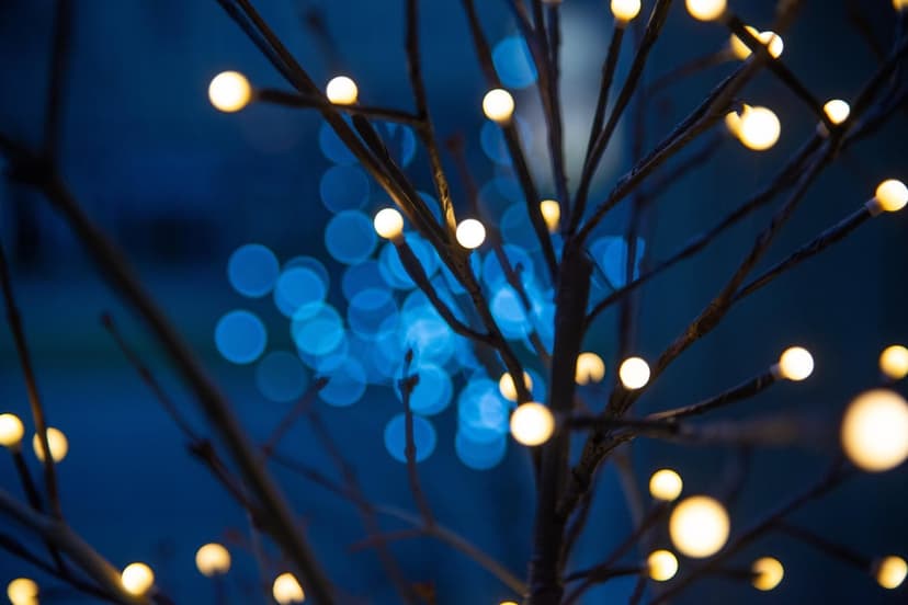 Warm white fairy lights wrapped around a dark tree branch against a blurred deep blue nighttime bokeh background.
