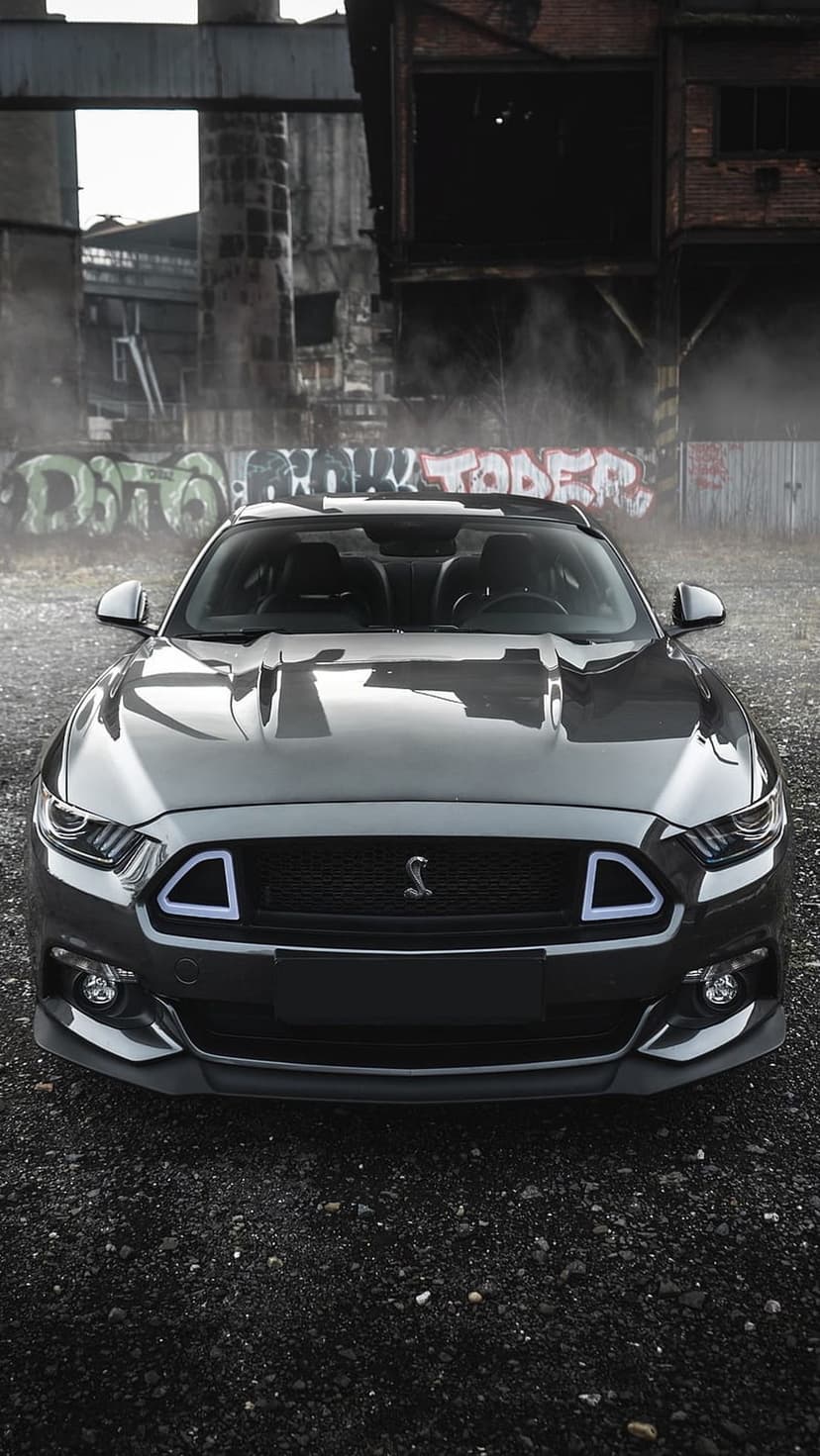 Dark grey Ford Mustang Shelby Cobra GT parked in a foggy industrial alley with graffiti on brick walls behind it.