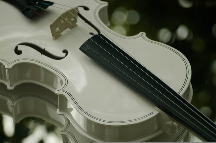 White violin with a dark fingerboard and bridge shown in a close-up view against a blurred bokeh background.