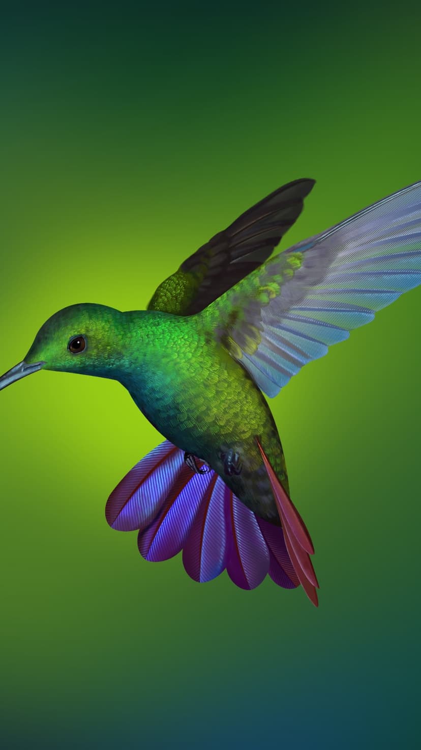 Hummingbird with green iridescent feathers and a purple tail hovers against a soft emerald gradient background.
