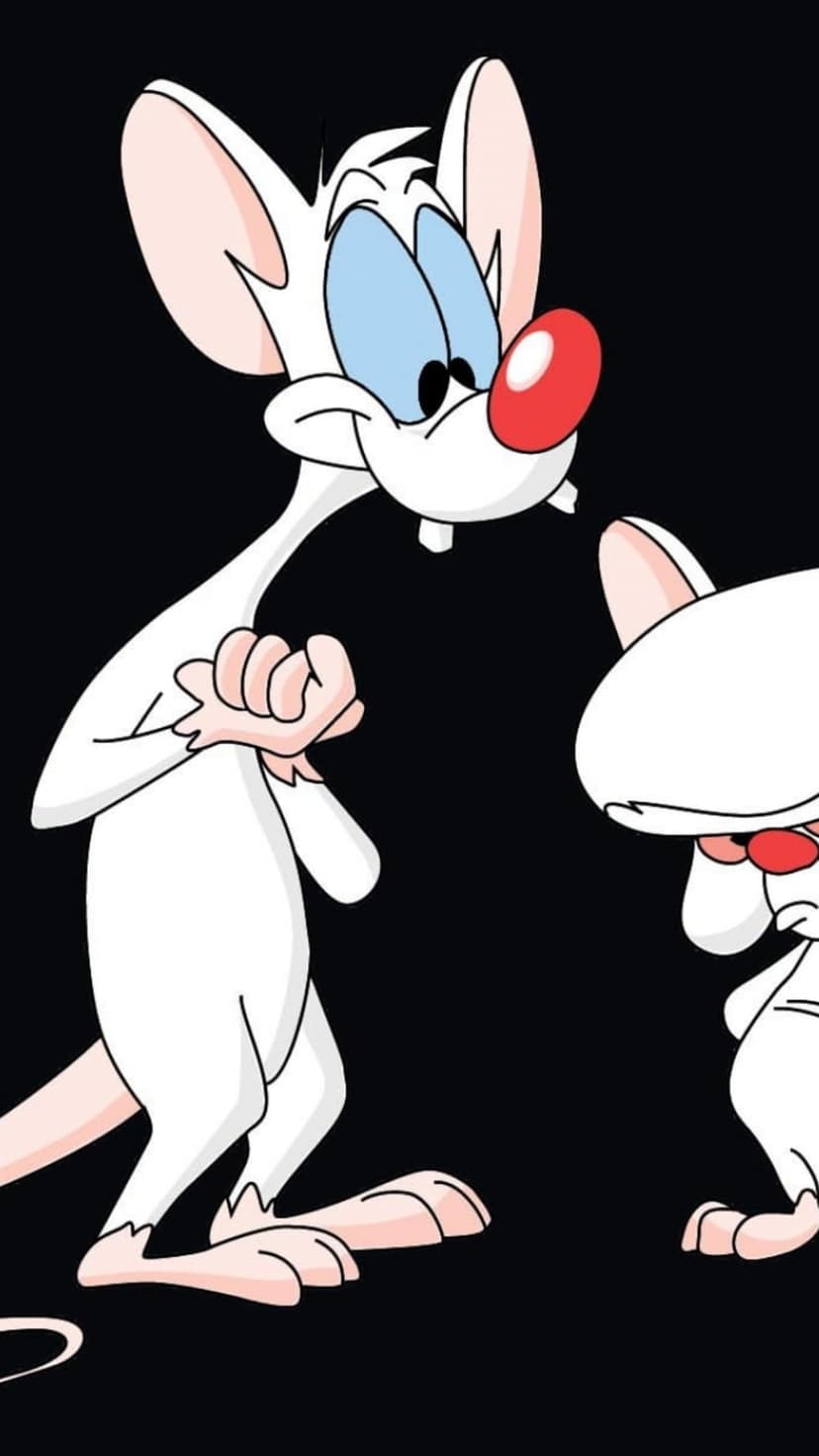 Pinky and the Brain white mice characters with red noses stand against a minimalist solid black background.