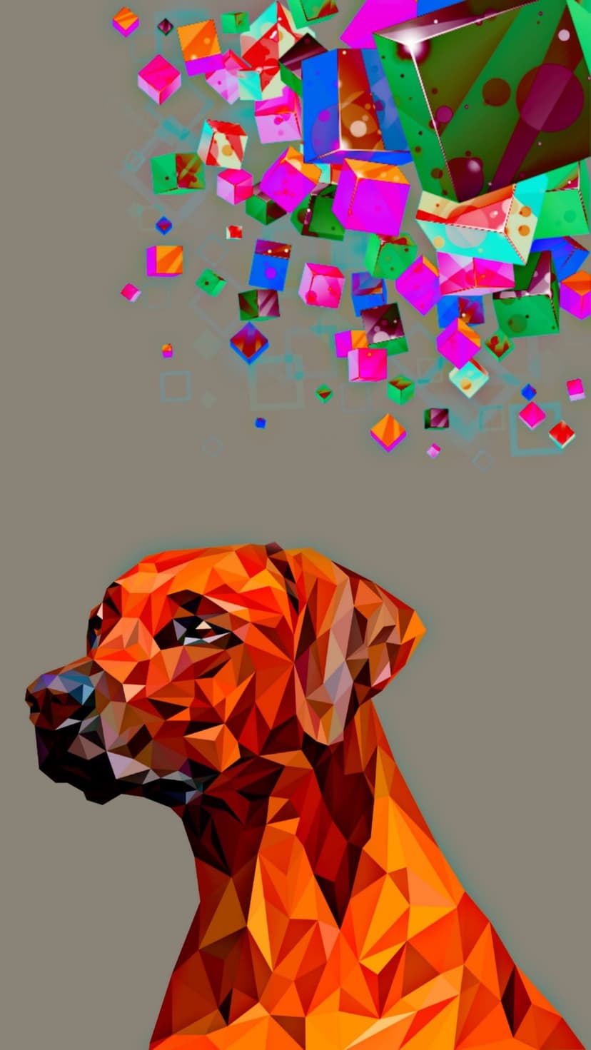 Faceted orange dog looking up at a dynamic burst of multi-colored geometric cubes on a neutral gray background.
