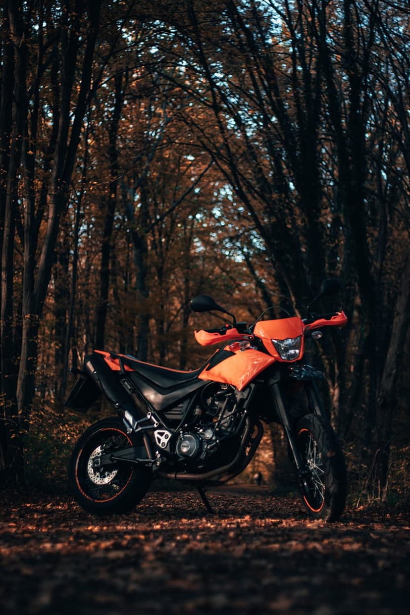 Orange dual-sport motorcycle parked on a forest path covered in brown autumn leaves surrounded by dark bare trees.