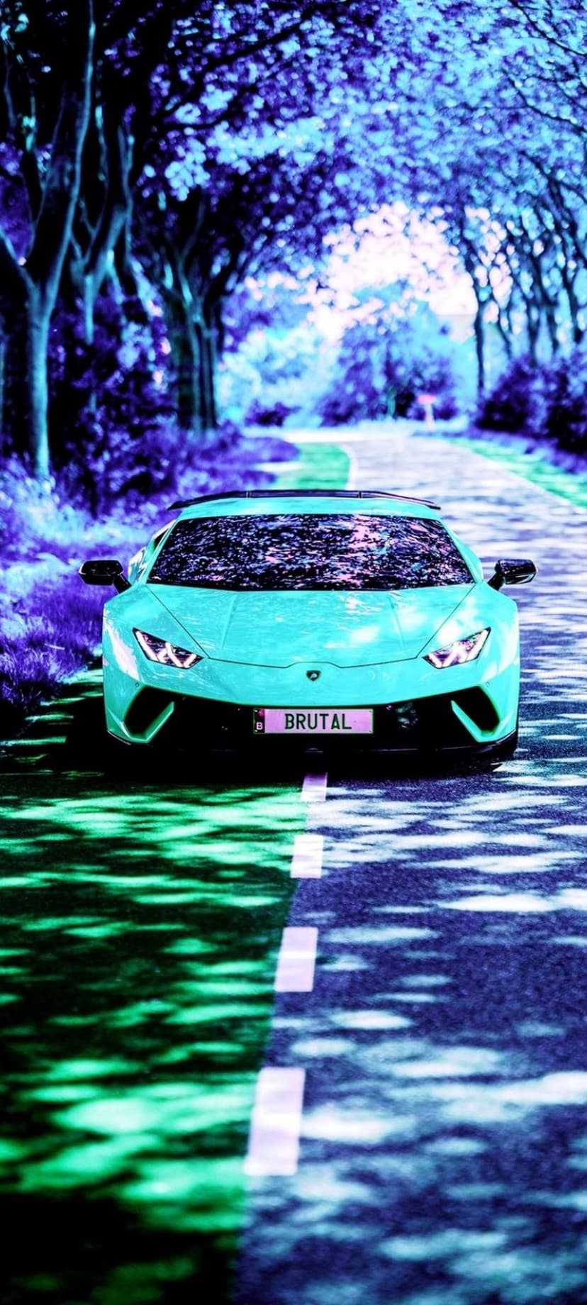 Turquoise Lamborghini with a BRUTAL license plate drives on a road between purple and blue glowing trees.