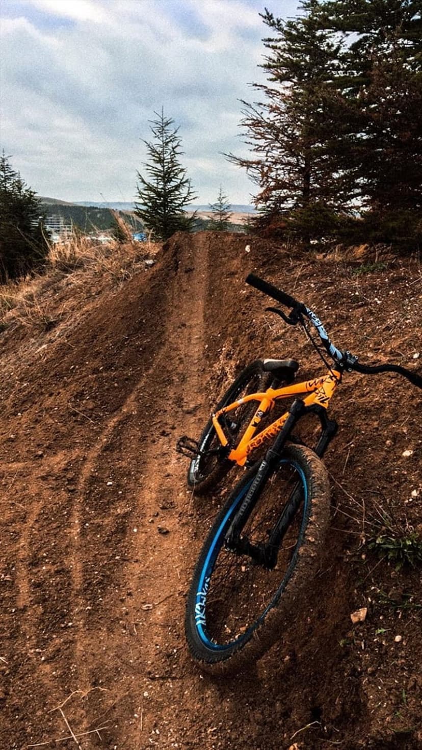 Orange dirt jump bike sits on a dusty track surrounded by pine trees and dry grass in a natural forest setting.