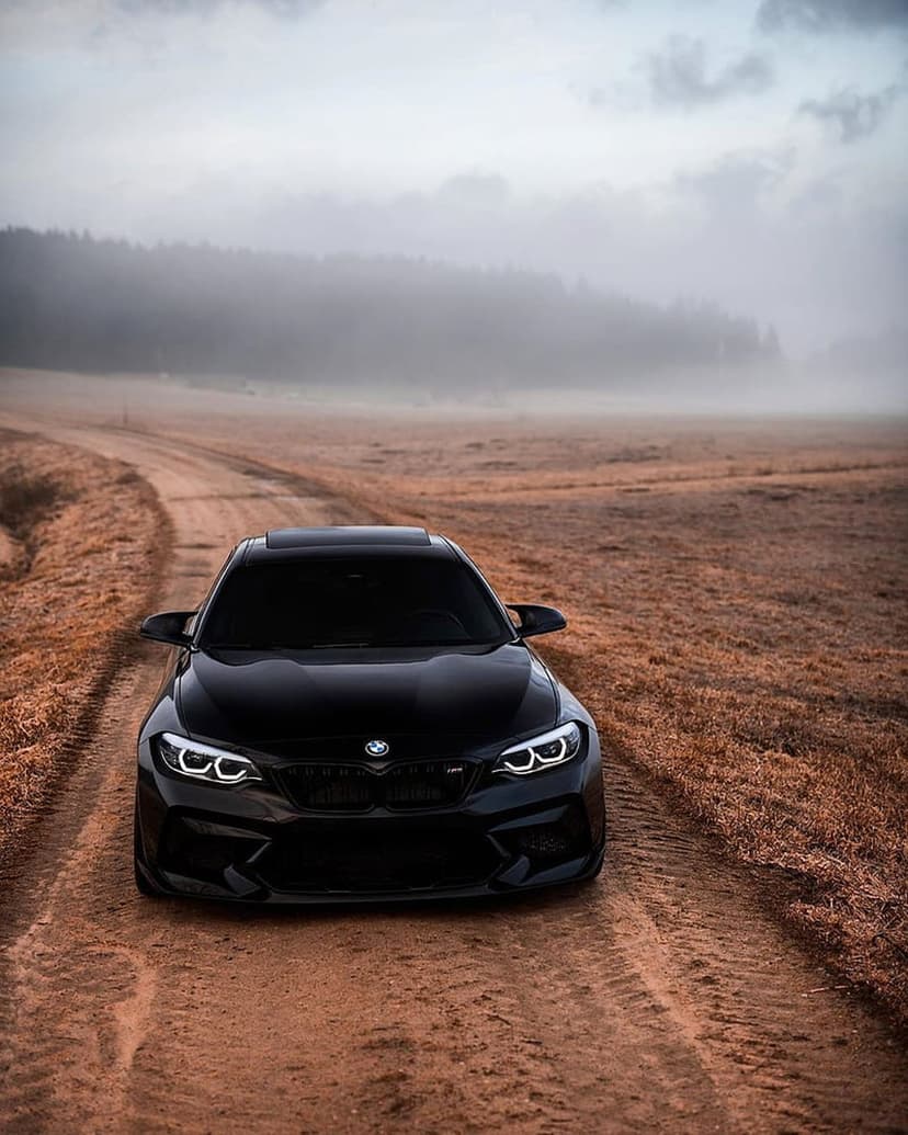Black BMW M2 parked on a misty dirt road surrounded by autumn trees and dry grass in a vertical composition.