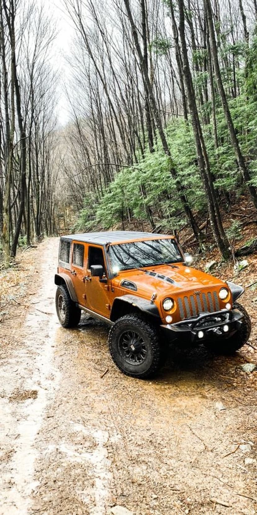 Orange Jeep Wrangler 4-door parked on a rutted mud trail surrounded by bare trees and green forest foliage.