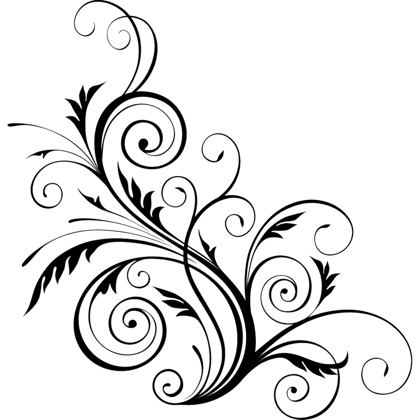 White flower branch pattern repeated across a seamless botanical layout featuring delicate leaves and stems.