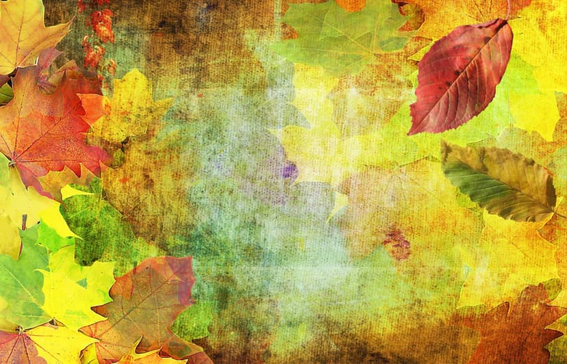 Vibrant maple and oak leaves in red and orange hues appear beneath a distressed, weathered grunge texture.
