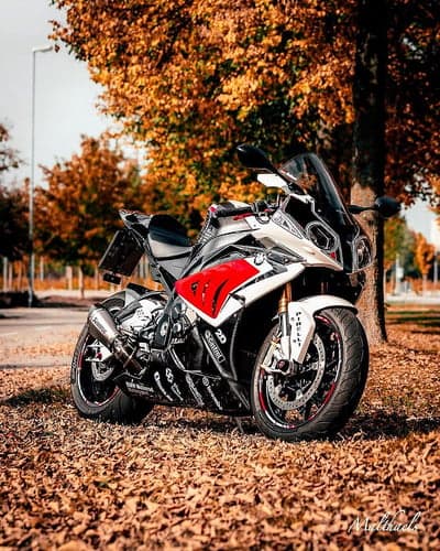 Autumn Motorcycle Scene: BMW S1000RR on Leafy Ground