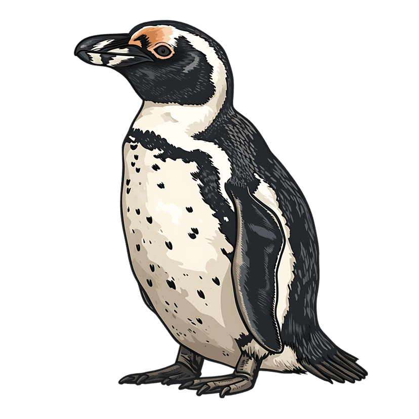 Stylized penguin illustration shows a profile view with black plumage, orange eye markings, and scaly feet.