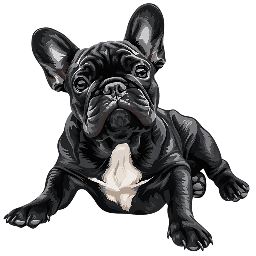 Black French Bulldog portrait featuring bat ears and white chest patch in a smooth matte digital illustration.
